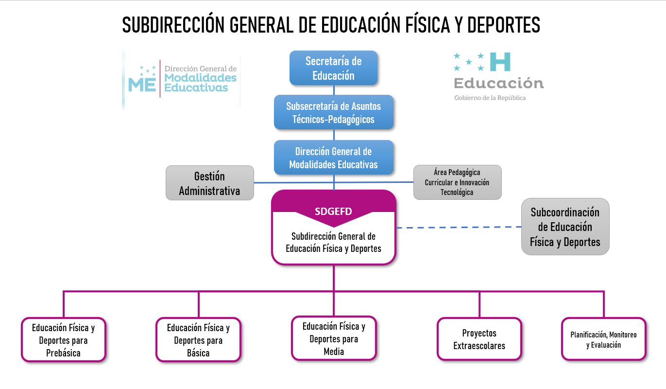 Organigrama Educ. Física y Deportes.png